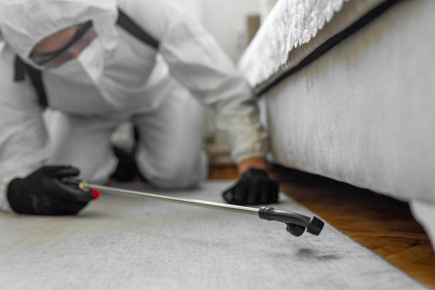 Professional Termite Control technician working in Auburn Hills, MI