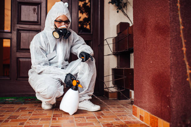 Reliable Termite Control contractor in Auburn Hills, MI by Nex Pest Control