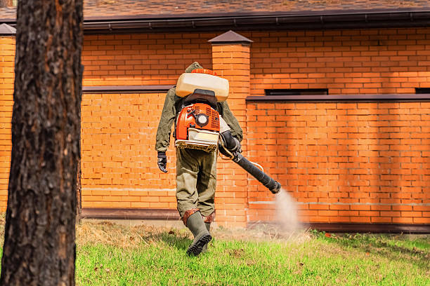 Trusted Emergency Pest Control service in Auburn Hills, MI - Nex Pest Control